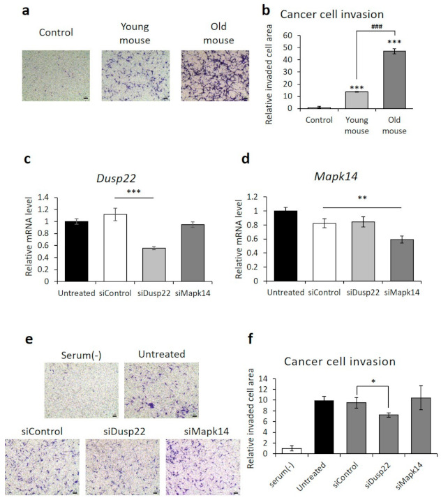 PMC8234889 – cancers-13-03045-f004