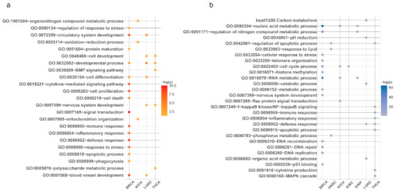 PMC8234889 – cancers-13-03045-f0A1