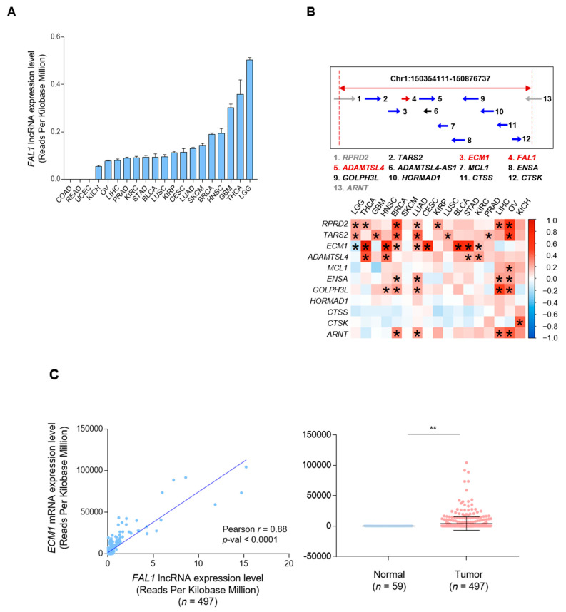 PMC8268647 – cancers-13-03223-f001