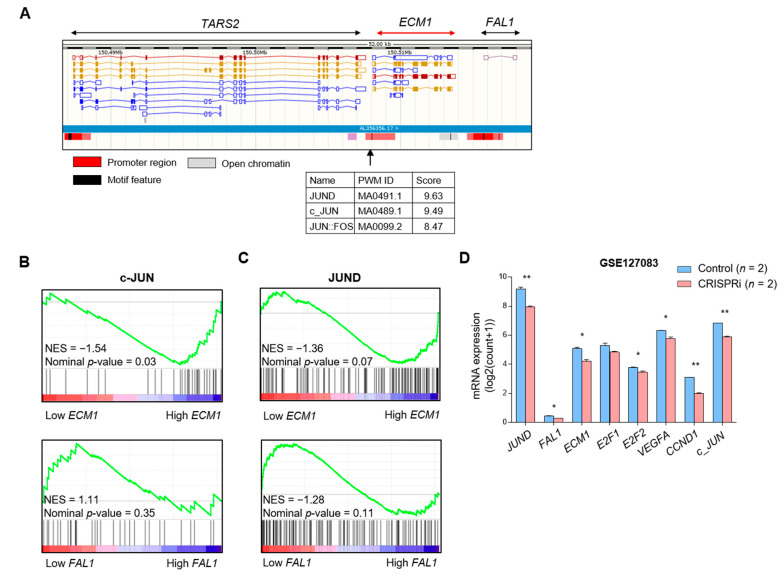 PMC8268647 – cancers-13-03223-f003