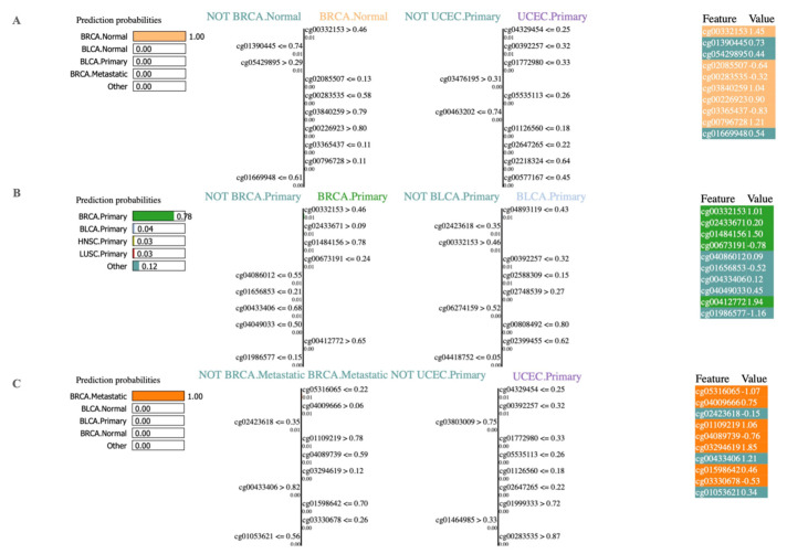 PMC8345047 – cancers-13-03768-f003