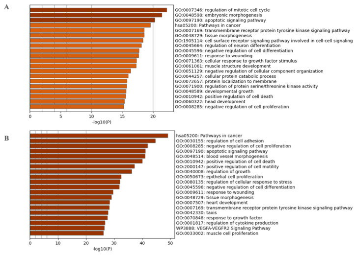 PMC8345047 – cancers-13-03768-f004