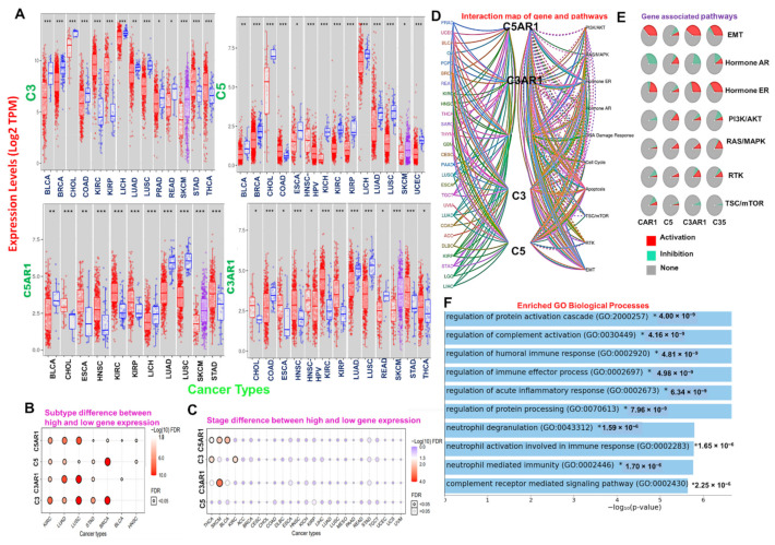 PMC8394789 – cancers-13-04124-f001