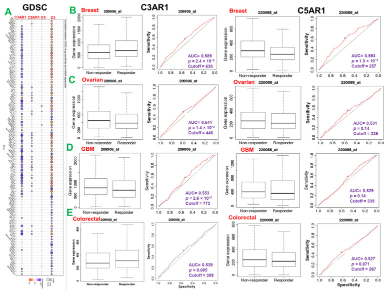 PMC8394789 – cancers-13-04124-f005