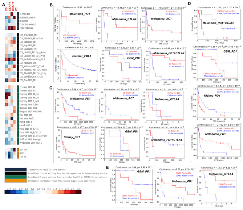 PMC8394789 – cancers-13-04124-f006