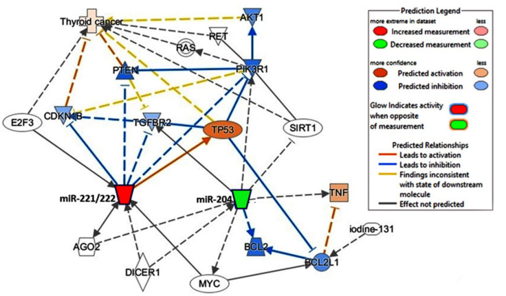 PMC8468667 – cancers-13-04649-f007