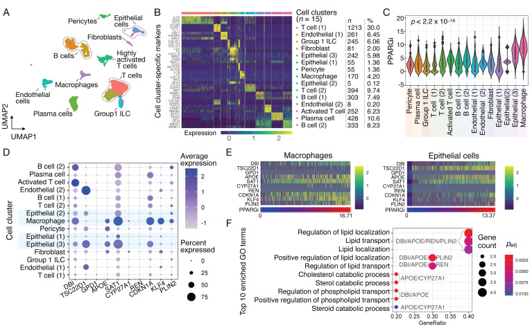 PMC8533916 – cancers-13-05110-f003