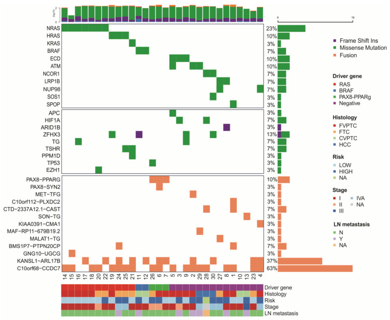 PMC8534197 – cancers-13-05184-f002