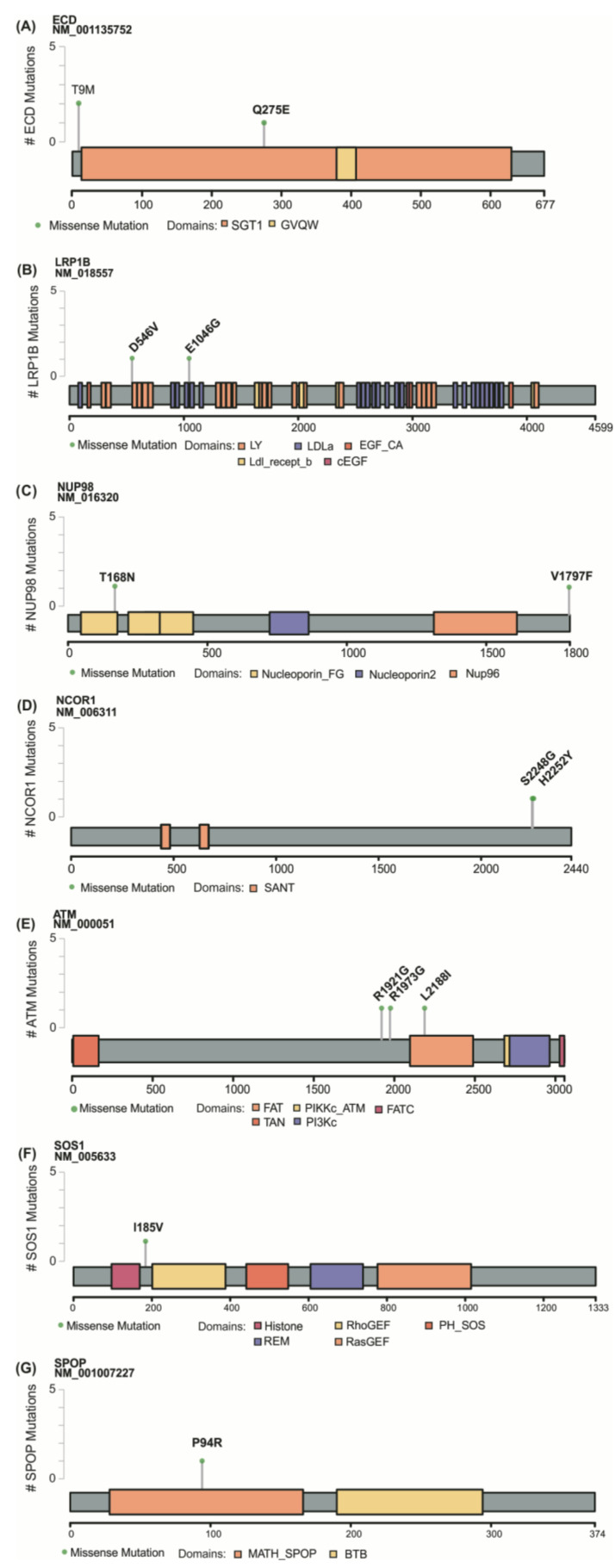 PMC8534197 – cancers-13-05184-f003