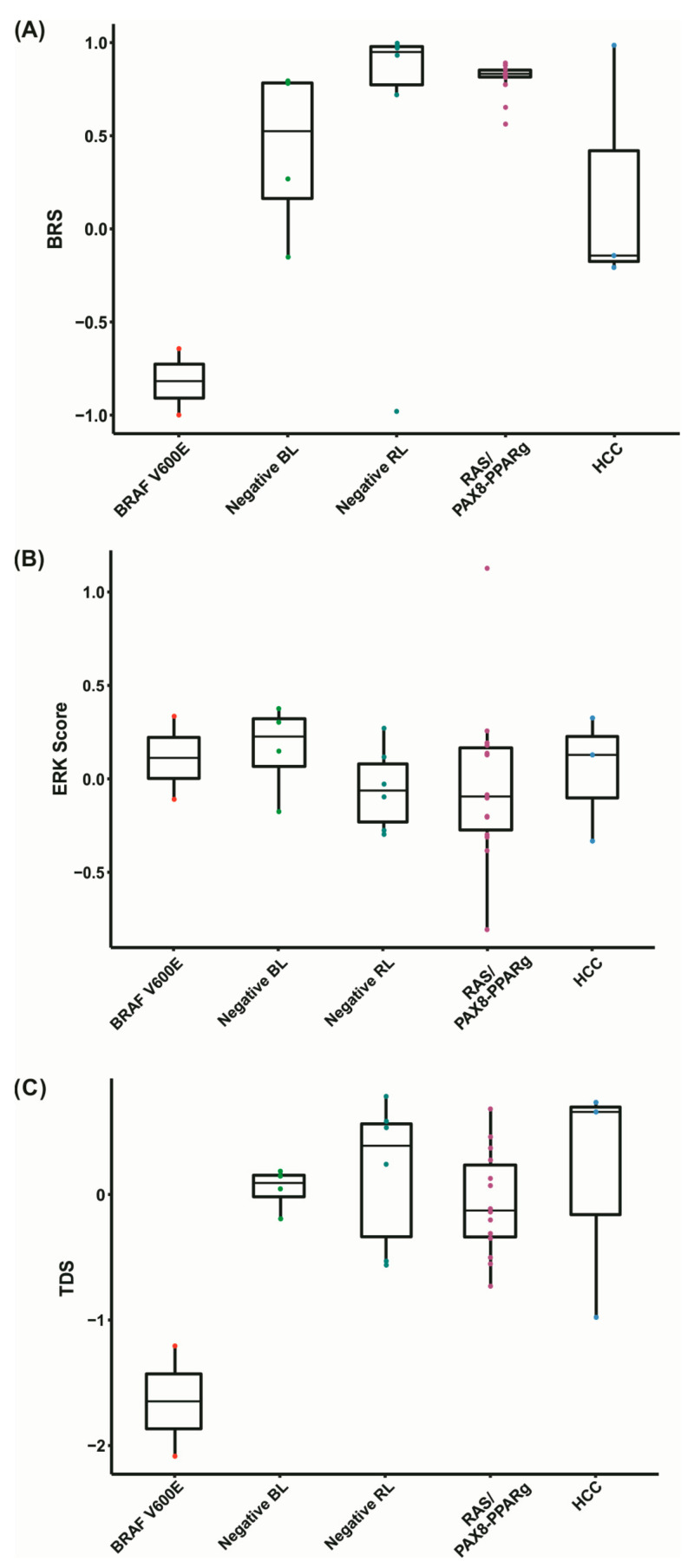 PMC8534197 – cancers-13-05184-f005