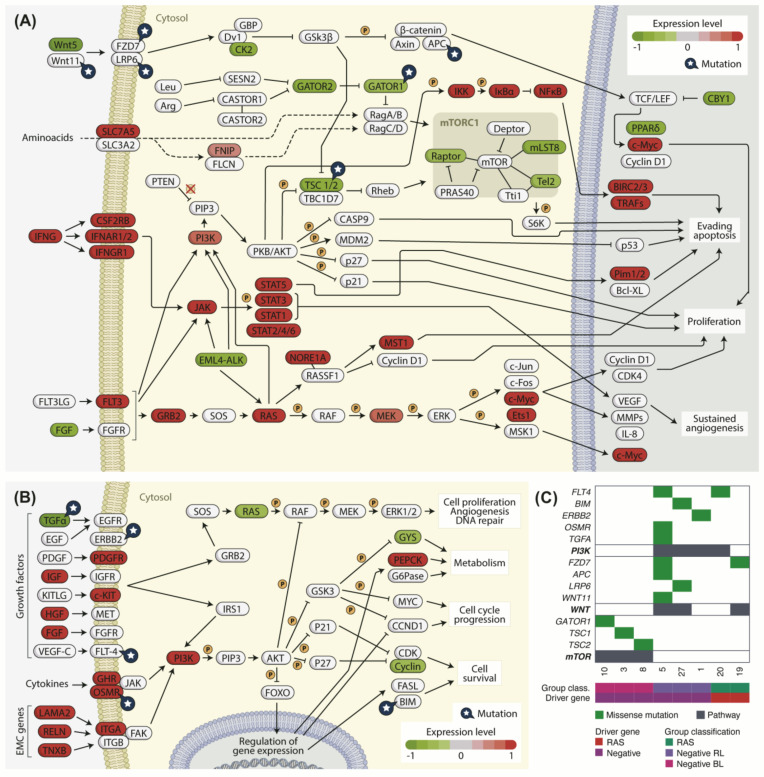 PMC8534197 – cancers-13-05184-f008