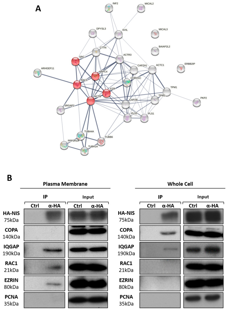 PMC8582450 – cancers-13-05460-f003