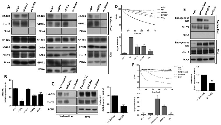 PMC8582450 – cancers-13-05460-f004