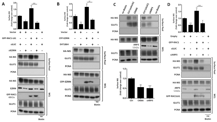 PMC8582450 – cancers-13-05460-f006