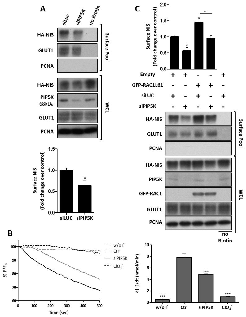 PMC8582450 – cancers-13-05460-f008