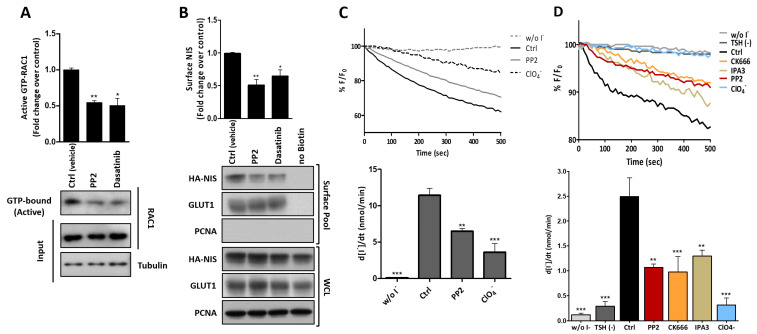 PMC8582450 – cancers-13-05460-f009