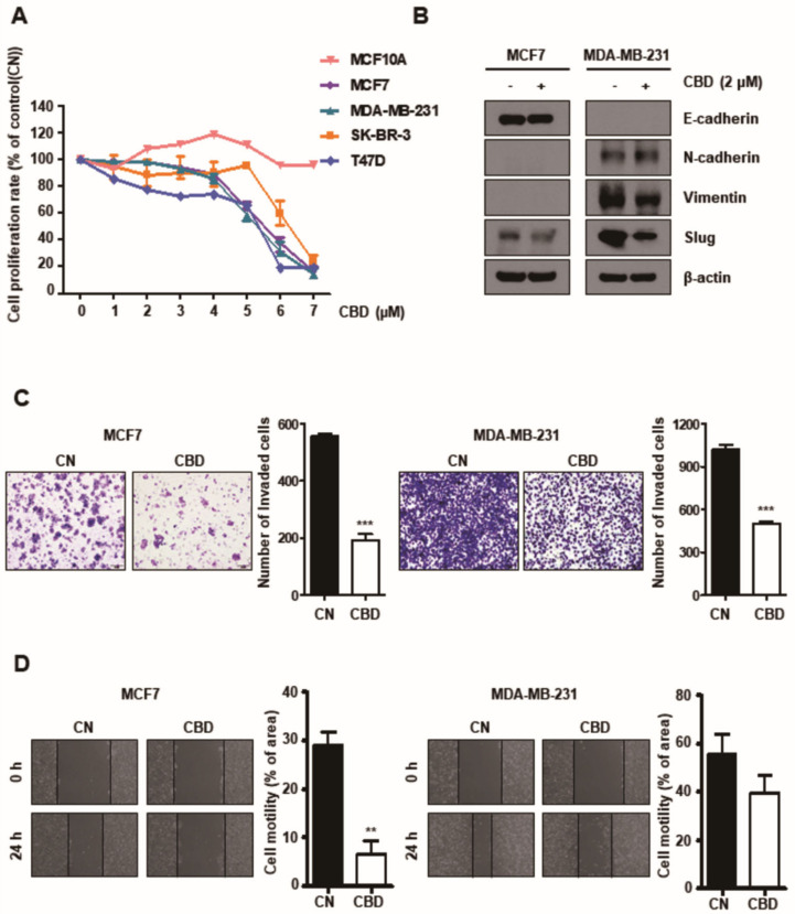 PMC8616476 – cancers-13-05667-f001