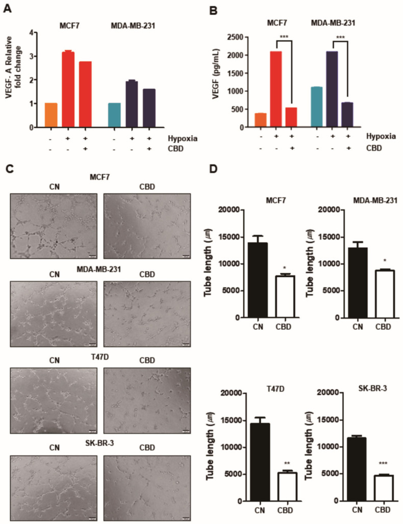 PMC8616476 – cancers-13-05667-f004
