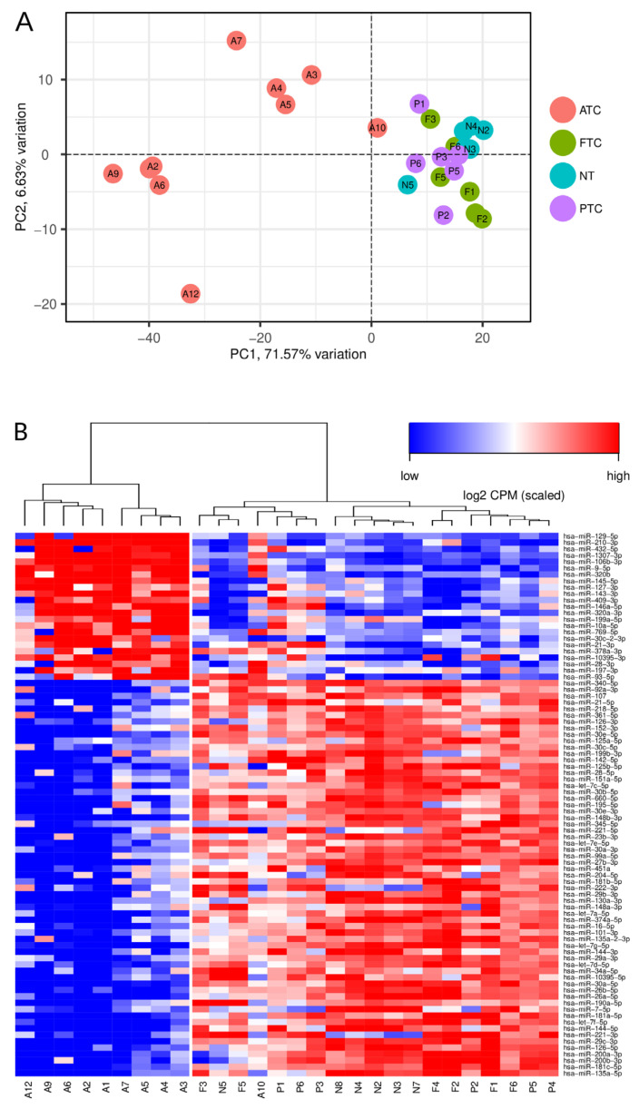 PMC8657272 – cancers-13-05913-f001