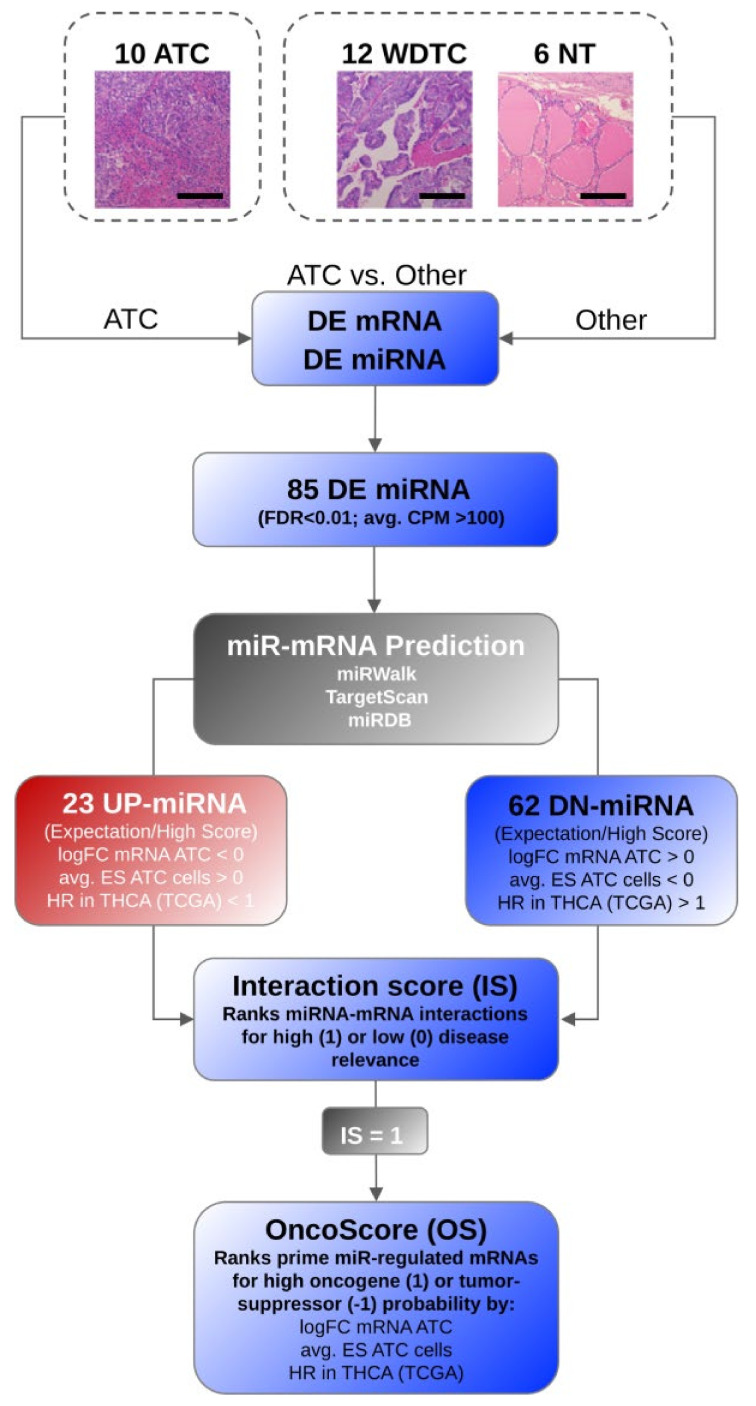 PMC8657272 – cancers-13-05913-f002