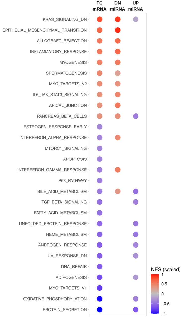 PMC8657272 – cancers-13-05913-f003