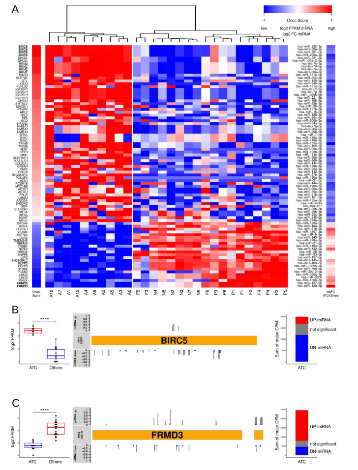 PMC8657272 – cancers-13-05913-f004