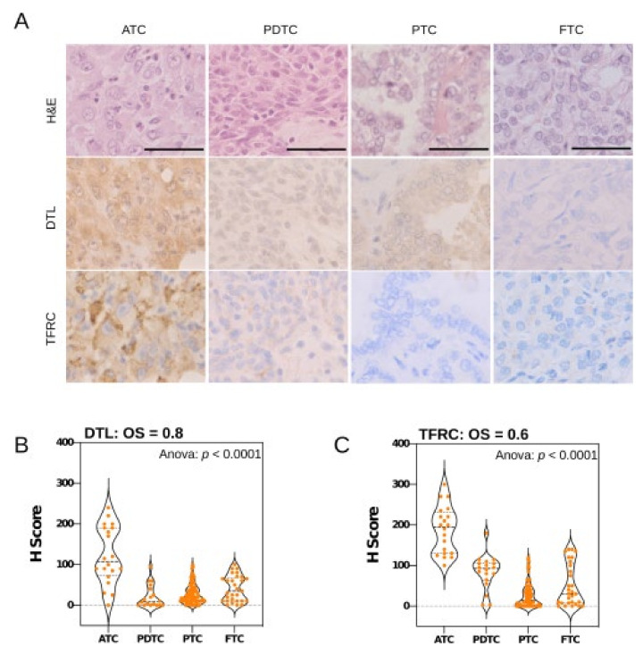 PMC8657272 – cancers-13-05913-f005