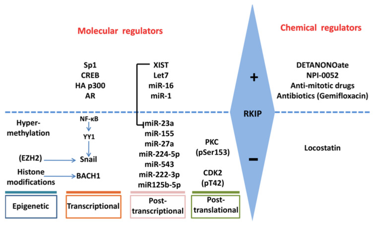 PMC8699197 – cancers-13-06247-f002
