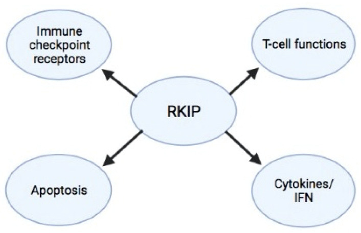 PMC8699197 – cancers-13-06247-f003