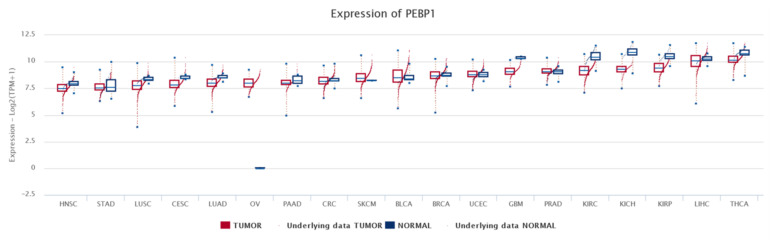 PMC8699197 – cancers-13-06247-f004