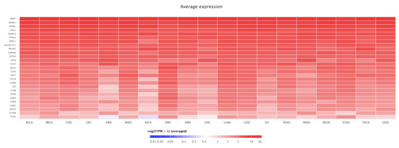 PMC8699197 – cancers-13-06247-f005
