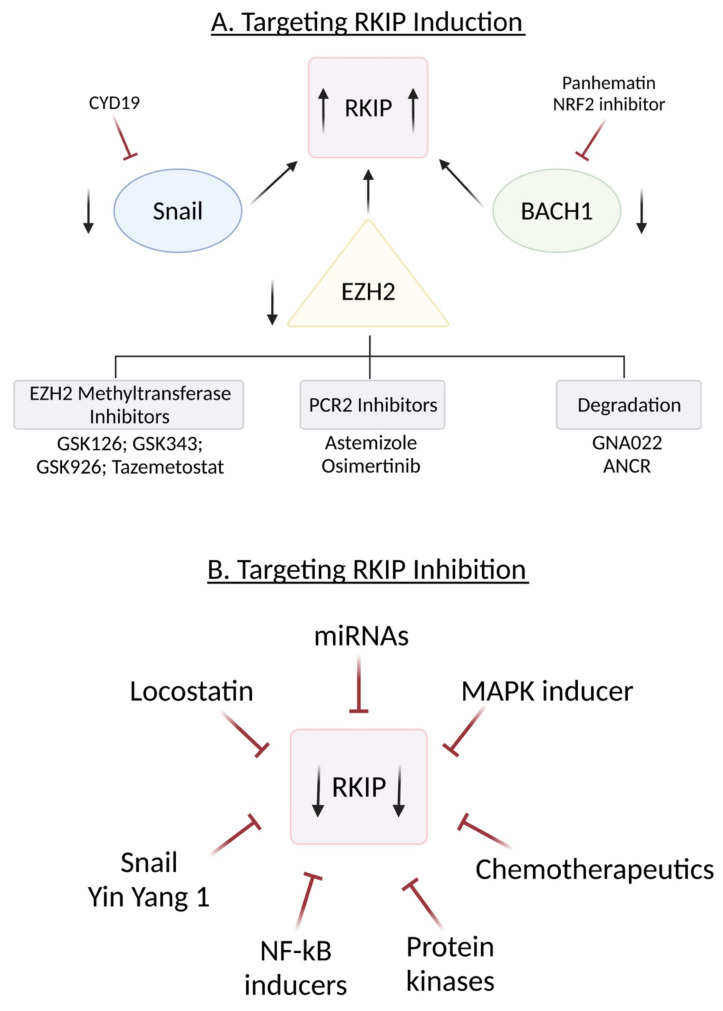 PMC8699197 – cancers-13-06247-f007