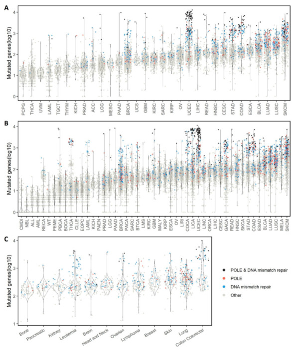 PMC8774165 – cancers-14-00415-f001