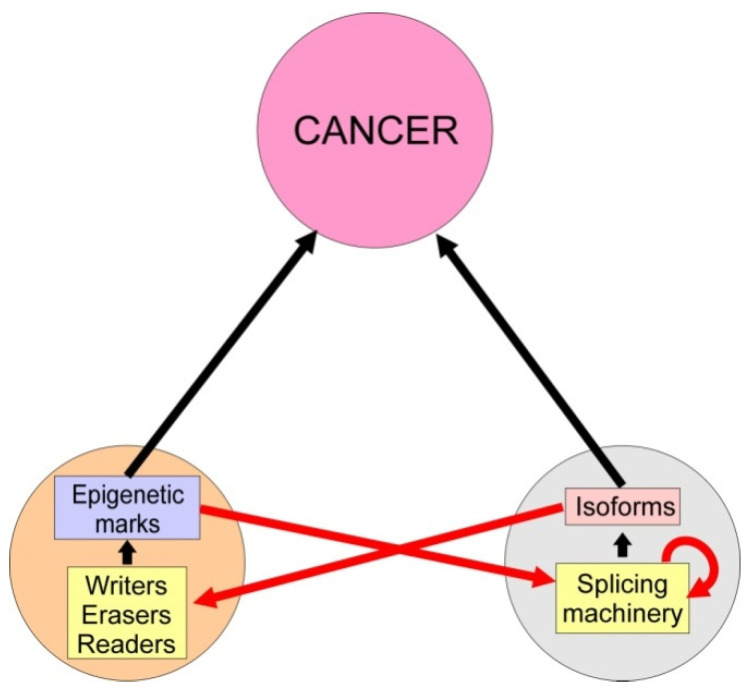 PMC8833605 – cancers-14-00560-f001
