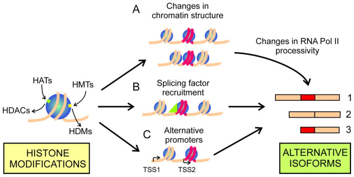PMC8833605 – cancers-14-00560-f002