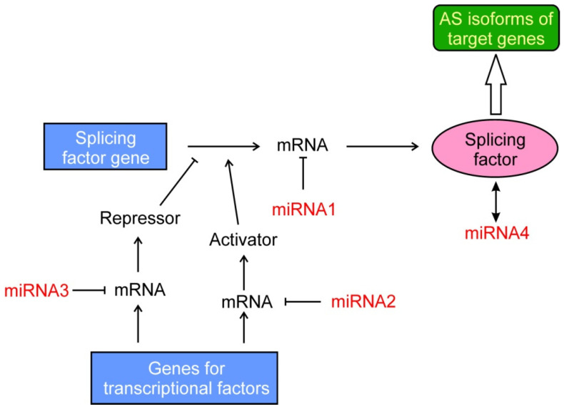 PMC8833605 – cancers-14-00560-f003