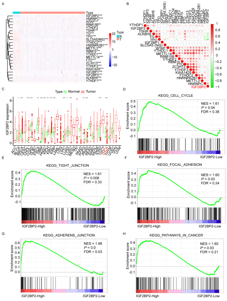 PMC8909796 – cancers-14-01268-f001
