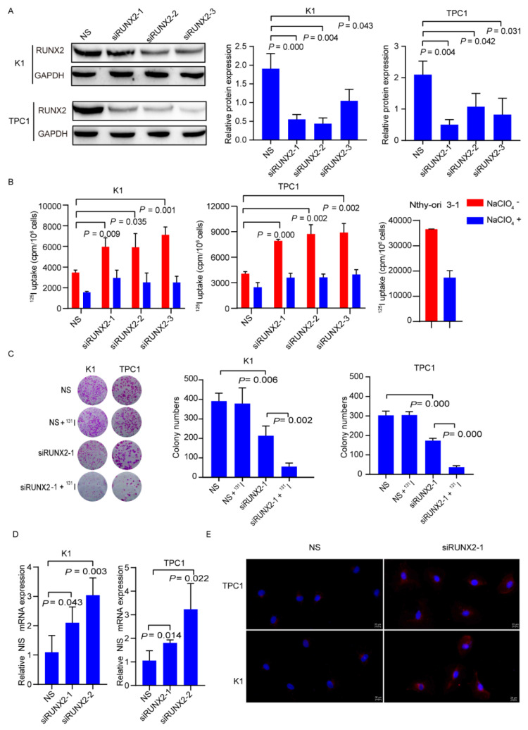 PMC8909796 – cancers-14-01268-f005