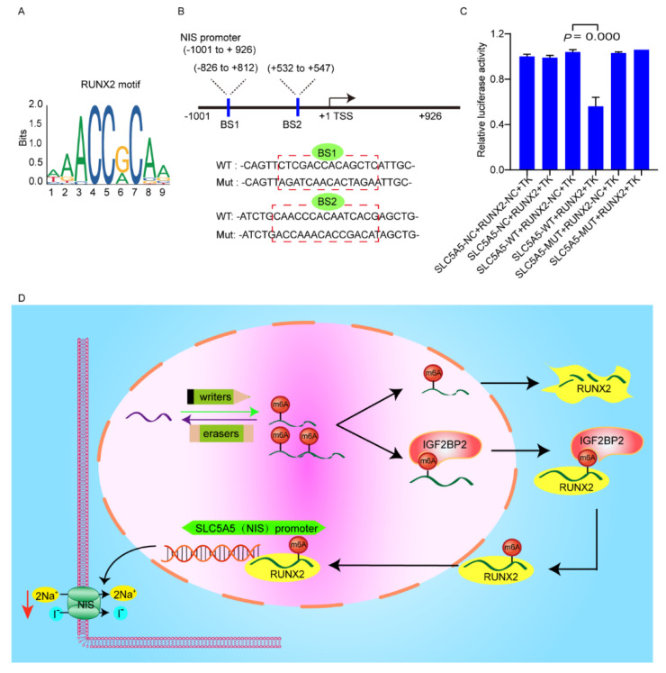 PMC8909796 – cancers-14-01268-f006