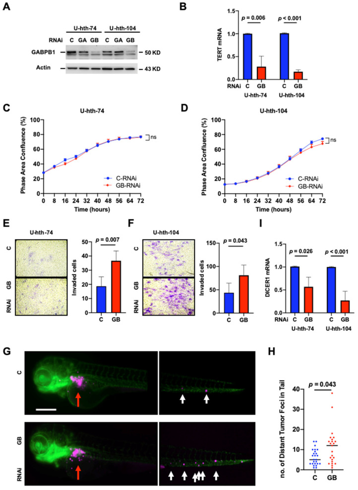 PMC8946831 – cancers-14-01385-f001