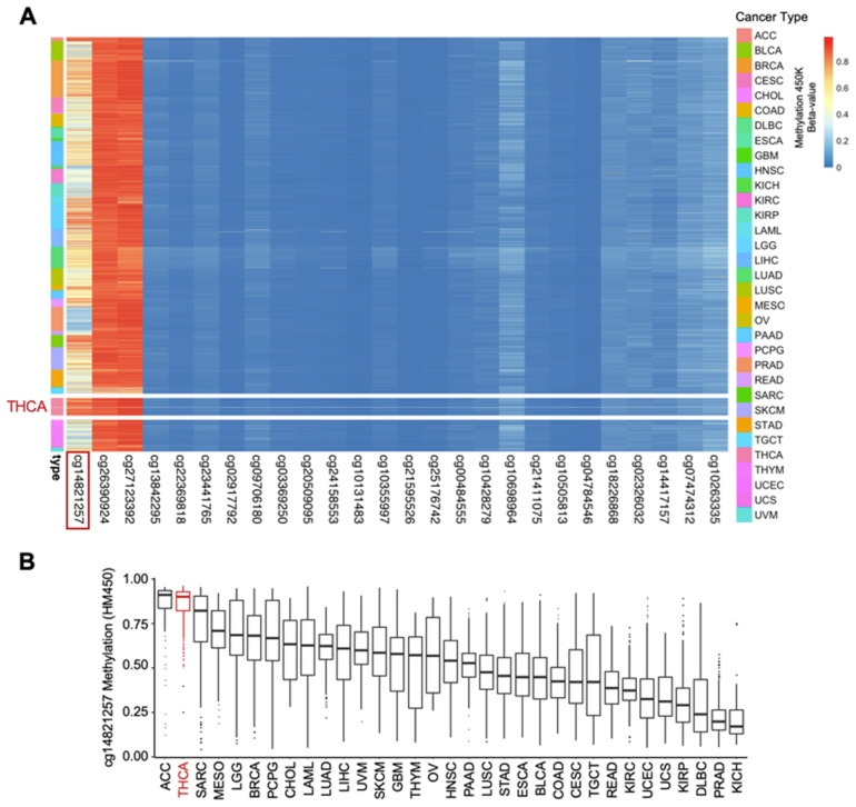 PMC8946831 – cancers-14-01385-f003