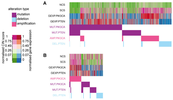PMC8946057 – cancers-14-01424-f006