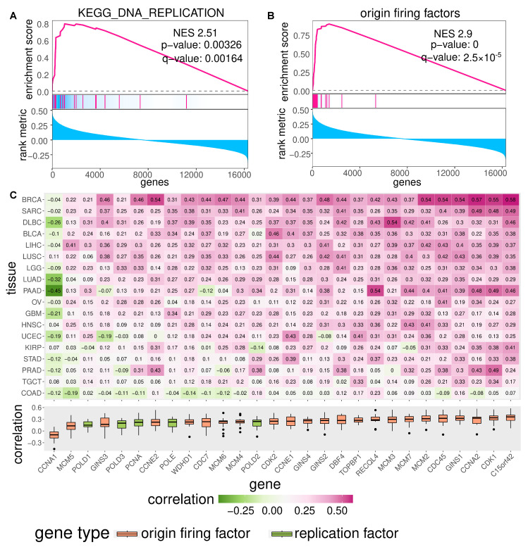 PMC8946057 – cancers-14-01424-f0A5