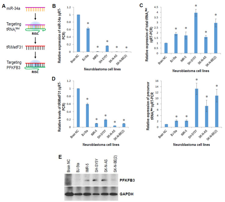 PMC9027424 – cancers-14-01908-f003