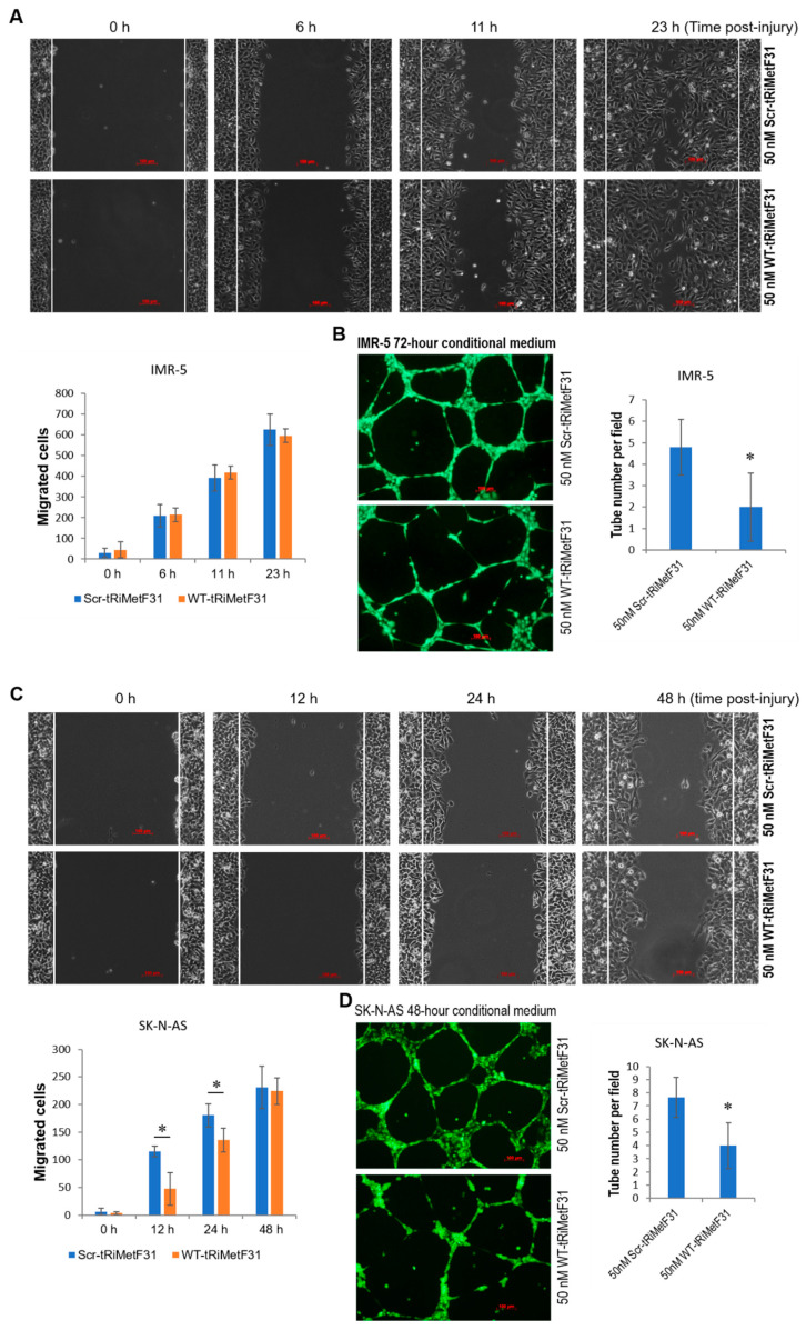 PMC9027424 – cancers-14-01908-f006