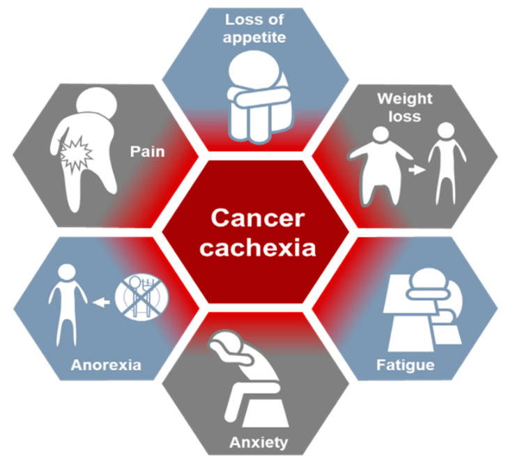 PMC9105812 – cancers-14-02107-f001