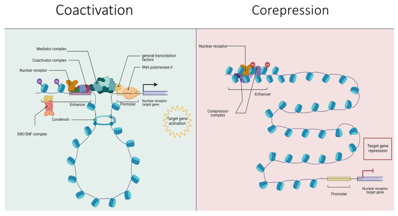 PMC9139824 – cancers-14-02402-f001