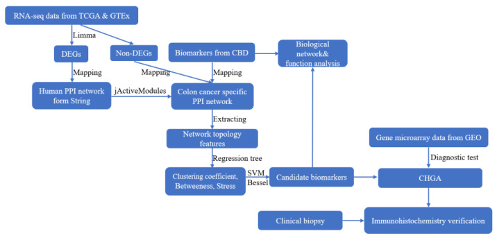 PMC9179857 – cancers-14-02664-f001