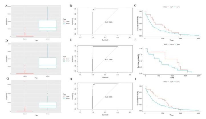 PMC9179857 – cancers-14-02664-f006
