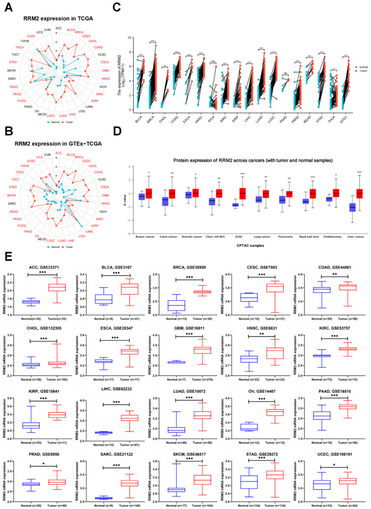 PMC9221307 – cancers-14-02938-f001